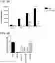 Fig. 16 - COMPOSITIONS AND METHODS FOR TREATING AUTOIMMUNE DISEASES AND CANCERS