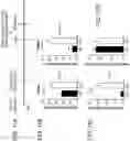 Fig. 19 - COMPOSITIONS AND METHODS FOR TREATING AUTOIMMUNE DISEASES AND CANCERS