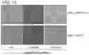 Fig. 23 - COMPOSITIONS AND METHODS FOR TREATING AUTOIMMUNE DISEASES AND CANCERS