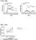 Fig. 26 - COMPOSITIONS AND METHODS FOR TREATING AUTOIMMUNE DISEASES AND CANCERS