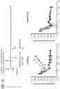 Fig. 29 - COMPOSITIONS AND METHODS FOR TREATING AUTOIMMUNE DISEASES AND CANCERS