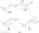 Fig. 06 - Bioorthogonal compositions