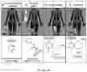 Fig. 11 - Bioorthogonal compositions