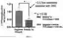 Fig. 19 - Bioorthogonal compositions