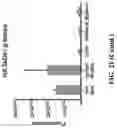 Fig. 26 - Bioorthogonal compositions