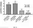 Fig. 47 - Bioorthogonal compositions