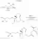 Fig. 55 - Bioorthogonal compositions