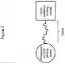 Fig. 03 - METHODS AND COMPOSITIONS FOR TARGETED PROTEIN DEGRADATION