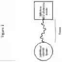 Fig. 04 - METHODS AND COMPOSITIONS FOR TARGETED PROTEIN DEGRADATION