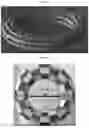 Fig. 02 - NUCLEIC ACID MAZZOCCHIO AND METHODS OF MAKING AND USE THEREOF
