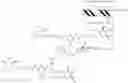 Fig. 405 - THERAPEUTIC METHODS FOR TREATING HEPATITIS B