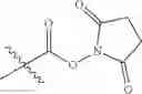Fig. 61 - PROGRAMMABLE POLYMERIC DRUGS