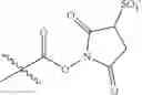 Fig. 62 - PROGRAMMABLE POLYMERIC DRUGS