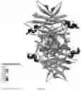 Fig. 03 - APPLICATION OF TRANSTHYRETIN IN ENTERING EYE AND PREPARING DROP