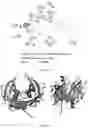 Fig. 15 - APPLICATION OF TRANSTHYRETIN IN ENTERING EYE AND PREPARING DROP