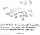 Fig. 17 - APPLICATION OF TRANSTHYRETIN IN ENTERING EYE AND PREPARING DROP