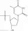 Fig. 13 - PROGRAMMABLE POLYMERIC DRUGS
