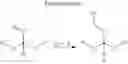 Fig. 132 - PROGRAMMABLE POLYMERIC DRUGS