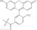 Fig. 172 - PROGRAMMABLE POLYMERIC DRUGS