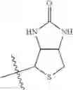 Fig. 75 - PROGRAMMABLE POLYMERIC DRUGS