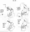 Fig. 03 - METHODS AND COMPOSITIONS FOR REDUCING METASTASES