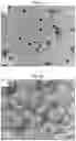 Fig. 10 - METHODS AND COMPOSITIONS FOR REDUCING METASTASES