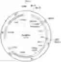 Fig. 13 - METHODS AND COMPOSITIONS FOR REDUCING METASTASES