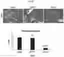 Fig. 24 - METHODS AND COMPOSITIONS FOR REDUCING METASTASES