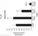 Fig. 28 - METHODS AND COMPOSITIONS FOR REDUCING METASTASES