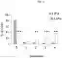 Fig. 07 - ARTIFICIAL T-CELL STIMULATING MATRIX FOR IMMUNOTHERAPY