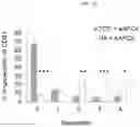 Fig. 13 - ARTIFICIAL T-CELL STIMULATING MATRIX FOR IMMUNOTHERAPY
