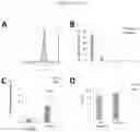 Fig. 14 - ARTIFICIAL T-CELL STIMULATING MATRIX FOR IMMUNOTHERAPY