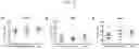 Fig. 23 - ARTIFICIAL T-CELL STIMULATING MATRIX FOR IMMUNOTHERAPY