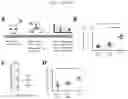 Fig. 24 - ARTIFICIAL T-CELL STIMULATING MATRIX FOR IMMUNOTHERAPY