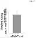 Fig. 28 - ARTIFICIAL T-CELL STIMULATING MATRIX FOR IMMUNOTHERAPY