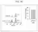 Fig. 31 - ARTIFICIAL T-CELL STIMULATING MATRIX FOR IMMUNOTHERAPY