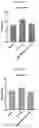 Fig. 04 - INFLAMMASOME-TARGETED RNA INTERFERENCE APPROACH TO TREATING KIDNEY INJURY AND DISEASE