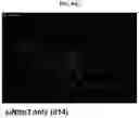 Fig. 22 - INFLAMMASOME-TARGETED RNA INTERFERENCE APPROACH TO TREATING KIDNEY INJURY AND DISEASE