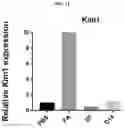 Fig. 27 - INFLAMMASOME-TARGETED RNA INTERFERENCE APPROACH TO TREATING KIDNEY INJURY AND DISEASE