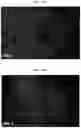 Fig. 37 - INFLAMMASOME-TARGETED RNA INTERFERENCE APPROACH TO TREATING KIDNEY INJURY AND DISEASE