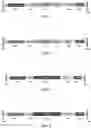 Fig. 02 - PLAKOPHILIN-2 (PKP2) GENE THERAPY USING AAV VECTOR