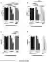 Fig. 04 - PLAKOPHILIN-2 (PKP2) GENE THERAPY USING AAV VECTOR