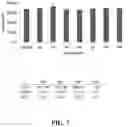 Fig. 10 - BLOCK COPOLYMERS AND USES THEREOF