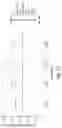 Fig. 23 - COMPOSITIONS AND METHODS FOR ADMINISTRATION OF THERAPEUTICS