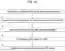 Fig. 12 - Synthetic DNA vectors and methods of use