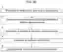 Fig. 13 - Synthetic DNA vectors and methods of use