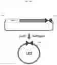 Fig. 31 - Synthetic DNA vectors and methods of use