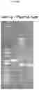 Fig. 32 - Synthetic DNA vectors and methods of use