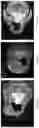 Fig. 11 - TISSUE SPACERS