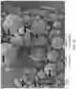 Fig. 17 - Occlusive implant compositions